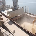 Russia shipped 50,000 tonnes each to Somalia and the Central African Republic and 25,000 tonnes each to Mali, Burkina Faso, Zimbabwe and Eritrea, agriculture minister Dmitry Patrushev told Putin during a meeting, according to transcript on the Kremlin’s website. | Reuters photo