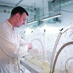 Entomology technician Thomas Dixon collects eggs from a fly cage at the Entocylcle insect farm in London. U.K. | Reuters/Isabel Infantes photo