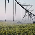 The author writes that the irrigation expansion proposed for southern Alberta needs an environmental impact assessment and review by the Natural Resources Conservation Board to determine if the projects are in the public interest. | File photo