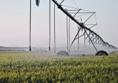 The author writes that the irrigation expansion proposed for southern Alberta needs an environmental impact assessment and review by the Natural Resources Conservation Board to determine if the projects are in the public interest.  |  File photo