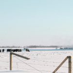 An environmental consultant says the oil and gas industry’s experience with a sustained attack on its business by activists serves as a lesson for the agriculture industry. | File photo