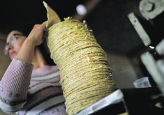The United States argues that Mexico’s decree banning imports of genetically modified corn used for tortillas is not based on science and violates its commitments under the U.S.-Mexico-Canada Agreement.  |  Reuters/ Edgard Garrido photo