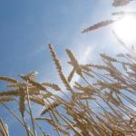 As the hotter planet unleashes more heat waves, drought and flooding, the European Union is developing its first Europe-wide analysis of climate-related risks to try to ensure future EU policies and spending take them into account. | File photo