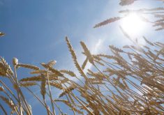 As the hotter planet unleashes more heat waves, drought and flooding, the European Union is developing its first Europe-wide analysis of climate-related risks to try to ensure future EU policies and spending take them into account. | File photo
