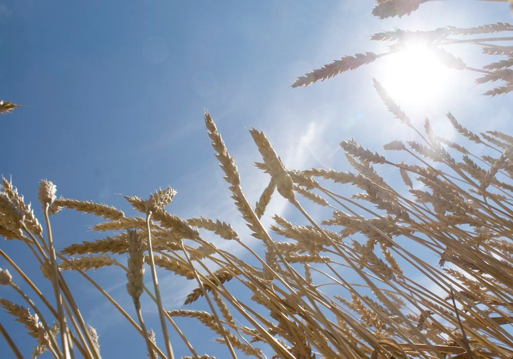 As the hotter planet unleashes more heat waves, drought and flooding, the European Union is developing its first Europe-wide analysis of climate-related risks to try to ensure future EU policies and spending take them into account. | File photo