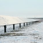 A research park to be built in Alberta this summer will explore how beef producers can use their land for both cattle production and solar energy generation. | File photo