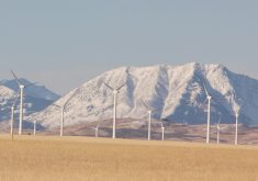 Last month, the province placed tight restrictions on renewable power projects planned on prime agricultural land and also ordered creating buffer zones so that wind turbines do not spoil scenic views. | File photo