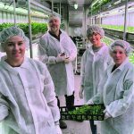 Shaylyn Beier, Lance Goudie, Ellen Van Lagen and and Tracy Trebb work in the Altario School’s hydroponic operation. It is part of a focus on agriculture that is credited with increasing the school’s enrolment and helping revitalize this region of east-central Alberta. | Photo supplied by Kevin Van Lagan