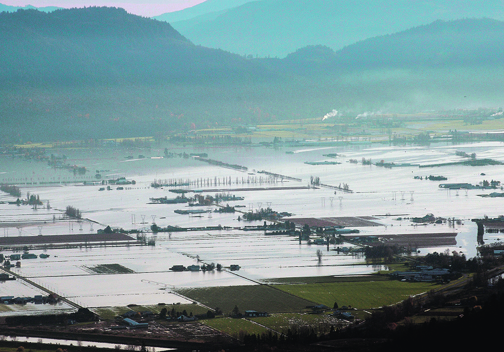 The flooding that hit British Columbia in late 2021 caused significant challenges for livestock producers in the affected area.  |  Reuters/Jennifer Gauthier photo