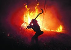 A firefighter tackles a forest blaze during an outbreak of wildfires following a prolonged dry spell and unseasonably high temperatures in Asturias, Spain, last March.  |  Reuters/Vincent West photo
