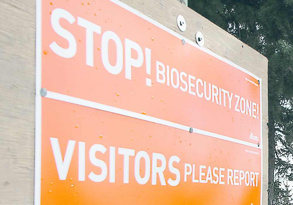 Biosecurity is the key to managing new and endemic diseases. | File photo