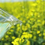 Major influencers on social media with hundreds of thousands of followers continue to warn consumers to stop buying products containing seed oils such as canola oil. | File photo