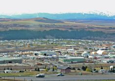 The Canadian Cattle Association and Nature Conservancy of Canada estimate that the country loses about 150,000 acres of grassland per year from pasture converted to cropland or swallowed up by urban expansion.  |  File photo