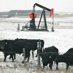 The Organization of Petroleum Exporting Countries and its associates, known as OPEC+, see strong demand growth that would push prices higher, but other forecasters are more reserved. | File photo