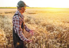 The author writes that older producers are an invaluable resource for the industry, but they are also more vulnerable.  |  Getty Images