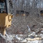 Three bulldozers work together knocking down a poplar stand, ahead of a group of six bulldozers that pile the trees into giant windrows, near Cayer, Man., on March 27, 2024. The windrows will be left until they dry down and can be burned. | Robin Booker photo