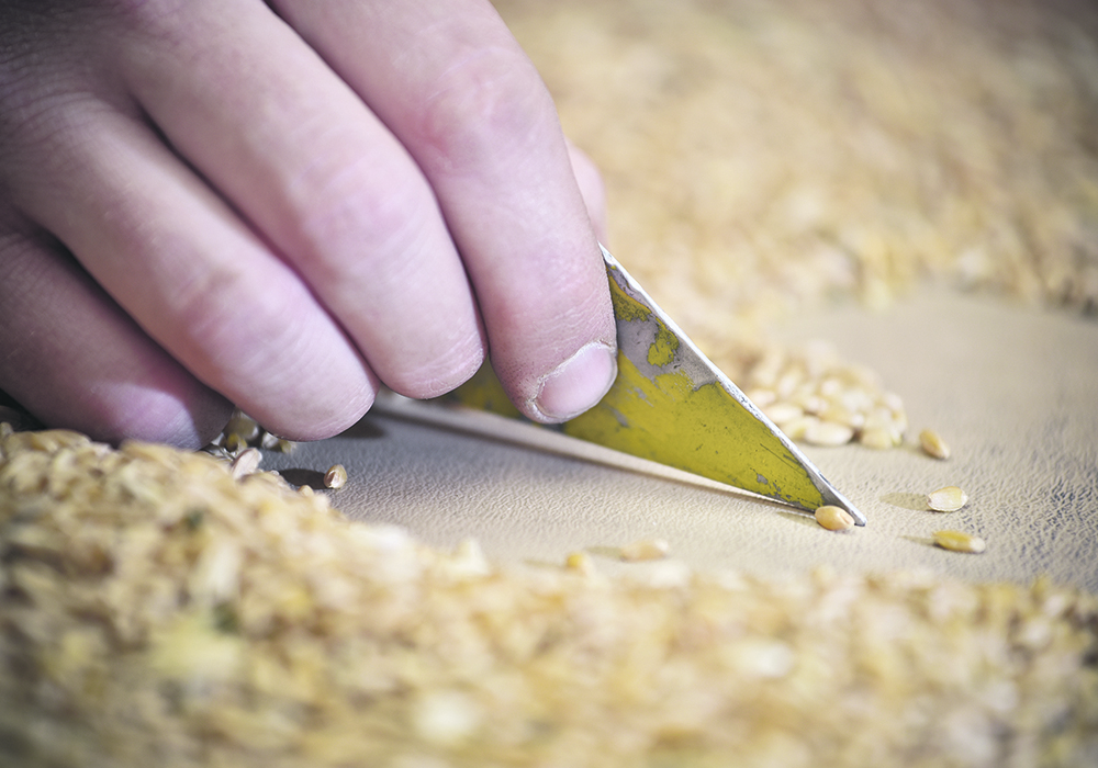 Image pour Farmers urged to be ‘pushy’ on grain commission