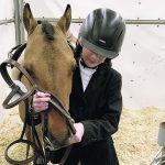 Sophie Vodon of Brandon readies Nicely Dun for the ring, in which the two 11-year-olds won two second places and a fourth. | Ed White photo