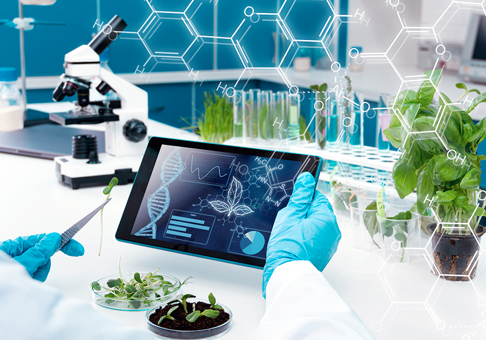 China intends to expand efforts at developing “new productive forces” through science and tech innovation in agriculture, the ministry of agriculture and rural affairs said. | Getty Images