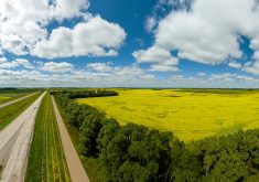 Back in the early 2010s, it was obvious to longtime realtor Ted Cawkwell and others that shady and illegal purchases of farmland were taking place. | Getty Images