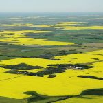 The speculation around who is buying land can trigger a lively conversation. | File photo