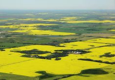 The speculation around who is buying land can trigger a lively conversation. | File photo