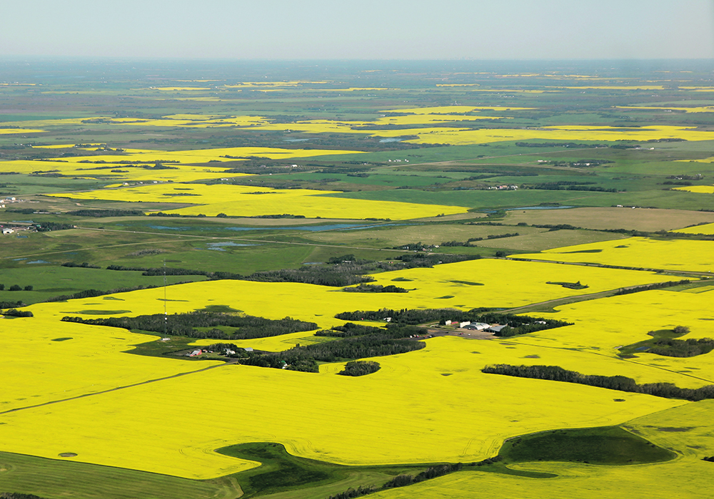 The speculation around who is buying land can trigger a lively conversation. | File photo