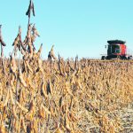 U.S. bankers are leery that the soybean crush sector may be following in the wobbly footsteps of the ethanol industry, which ended up with massive amounts of excess capacity in the 2000s. | File photo