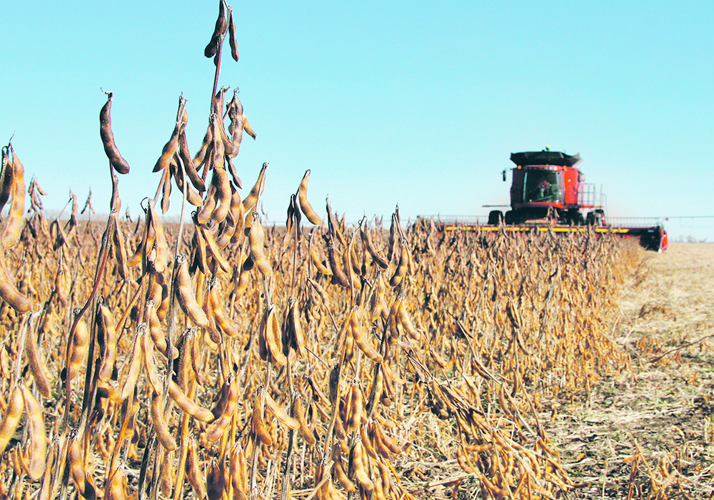 U.S. bankers are leery that the soybean crush sector may be following in the wobbly footsteps of the ethanol industry, which ended up with massive amounts of excess capacity in the 2000s. | File photo