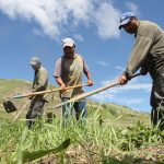 Food manufacturers and meatpackers are sounding the alarm because the number of temporary foreign workers they are allowed to employ might be scaled back, even though they have many unfilled vacancies and few Canadians fighting for the grueling work. | File photo