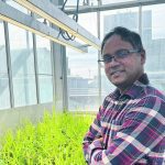 University of Alberta assistant professor Malinda Thilakarathna says some farmers had already bought into humalite’s promises but they didn’t have the science to back it up until now | Supplied photo