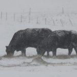 March was colder than average by a few degrees in most locations, but not bone chilling. It seemed cold because February was so warm. | File photo