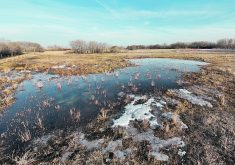 Significant surface runoff and pooled water in many prairie growing regions gives the impression soils will get a decent recharge this spring. However, Phillip Harder, hydrological scientist and research director at Croptimistic Technology, said the late fall rains and freezing at the soil surface, combined with multiple midwinter melts, will likely restrict the amount of water that makes it into the soil. He said on many fields much of the snowmelt will run off or accumulate in field depressions, which will end up doing the heavy lifting when it comes to crop production if rains are sparse this summer.  |  Phillip Harder photo