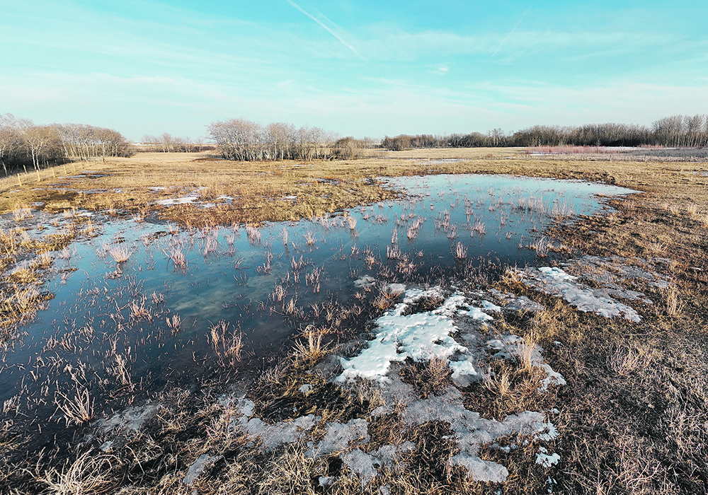 Significant surface runoff and pooled water in many prairie growing regions gives the impression soils will get a decent recharge this spring. However, Phillip Harder, hydrological scientist and research director at Croptimistic Technology, said the late fall rains and freezing at the soil surface, combined with multiple midwinter melts, will likely restrict the amount of water that makes it into the soil. He said on many fields much of the snowmelt will run off or accumulate in field depressions, which will end up doing the heavy lifting when it comes to crop production if rains are sparse this summer.  |  Phillip Harder photo