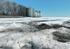Snow from the early March storm melts southeast of Delisle, Sask. Weather models for the Canadian Prairies generally show normal rainfall through spring. But they also show warmer than normal temperature averages for the North American continent through the spring and into summer.  |  Paul Yanko photo