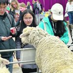 Attendees of the Royal Manitoba Winter Fair take in the sights and sounds of the largest annual event to be held in Brandon, Man. The event was held March 25 to 30, 2024. | Ed White photo