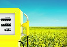 "Project delays in 2023, 2024 and into 2025 have slowed the growth of crush capacity," the USDA's Foreign Agricultural Service (FAS) stated in a recent report. |  Getty Images