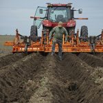 Verticillium in potatoes can significantly reduce yield and, being soil-borne, is difficult to manage. Preliminary research results suggest earlier planting of risk-prone fields could reduce losses, in part due to colder soil temperatures earlier in the season. | File photo