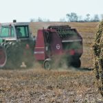 Livestock producers may have to get creative when faced with a drought-induced feed shortage. Striking a deal with a nearby cash cropper for their straw can be mutually beneficial. | File photo