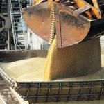 A grain exchange proposal for BRICS was first tabled by the Russian Union of Grain Exporters in December 2023, but it didn’t gain traction until March 2024 when the idea was endorsed by Russian President Vladimir Putin. BRICS is a trade alliance comprising Brazil, Russia, India, China, South Africa, Egypt, Ethiopia, Iran and the United Arab Emirates. | Reuters photo