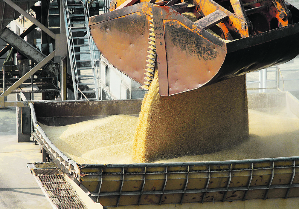 A grain exchange proposal for BRICS was first tabled by the Russian Union of Grain Exporters in December 2023, but it didn’t gain traction until March 2024 when the idea was endorsed by Russian President Vladimir Putin. BRICS is a trade alliance comprising Brazil, Russia, India, China, South Africa, Egypt, Ethiopia, Iran and the United Arab Emirates.  |  Reuters photo