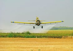 A resolution that passed at last month’s Saskatchewan Association of Rural Municipalities convention calls for the government to increase the time in which complaints can be made over pesticide damage, from 30 days to 12 months from when the incident occurred.  |  File photo