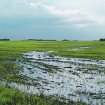 The author argues urban critics of agriculture should remember that clearing, leveling and drainage was required to build towns and cities, similar to productive agricultural land.  |  File photo