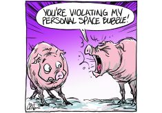 Public-driven pork policy brings related headaches