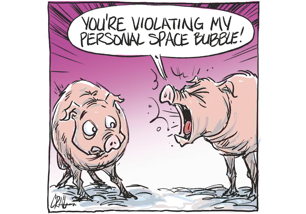 Public-driven pork policy brings related headaches