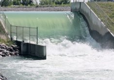 Southern Alberta's 11 irrigation districts will reallocate water towards high value, high water crops such as potatoes, sugar beets and corn in order to fulfil an agreement to do more with less water, said the chair of the Alberta Irrigation Districts Association (AIDA). | File photo