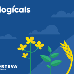 Busting myths around biologicals