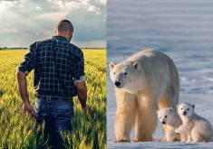 An increased focus on climate change is significantly altering how ag research is conducted. | Getty Images