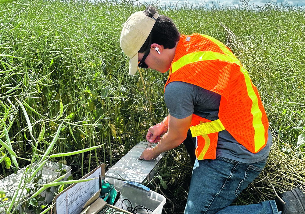 Agricultural scientists in Canada are focusing more of their time on research related to climate, such as collecting nitrous oxide samples from canola fields, and less time on canola yields. The federal government and provinces agreed in 2021 that climate and emissions would become an ag research priority. | Robert Arnason photo