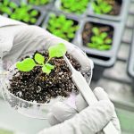 Agriculture Canada will only fund research clusters if some of the research helps the Government of Canada achieve its emission targets for 2030 and 2050.
| Getty Images